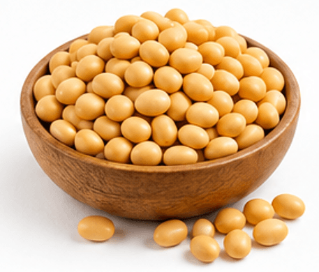 Dry Yellow Beans